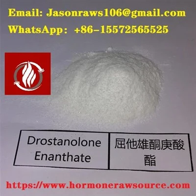 Drostanolone Enanthate за бодибилдинг CAS:13425-31-5