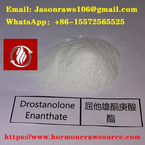 Превъзходно качество Drostanolone Enanthate на прах за бодибилдинг CAS:13425-31-5